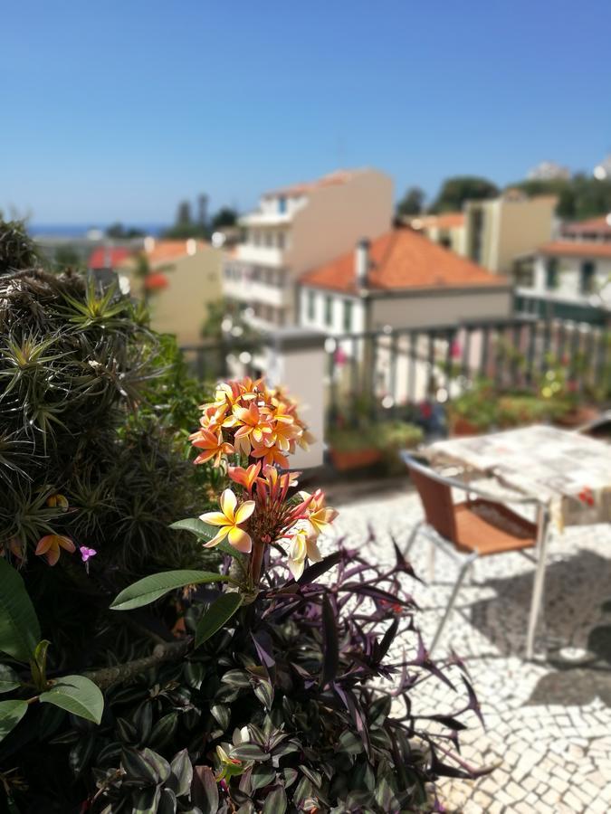 Pensao Residencial Vila Teresinha Funchal  Esterno foto